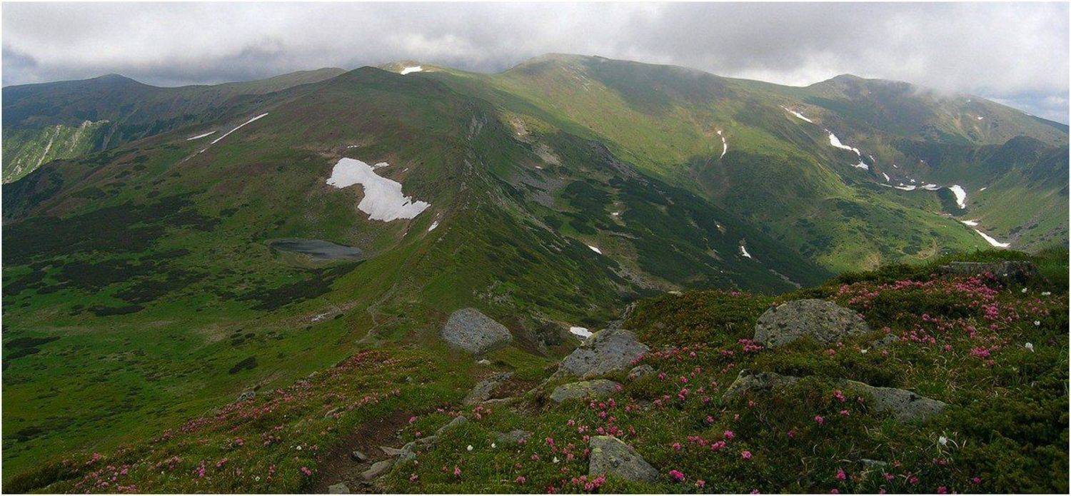 карпаты, Игорь Шевченко