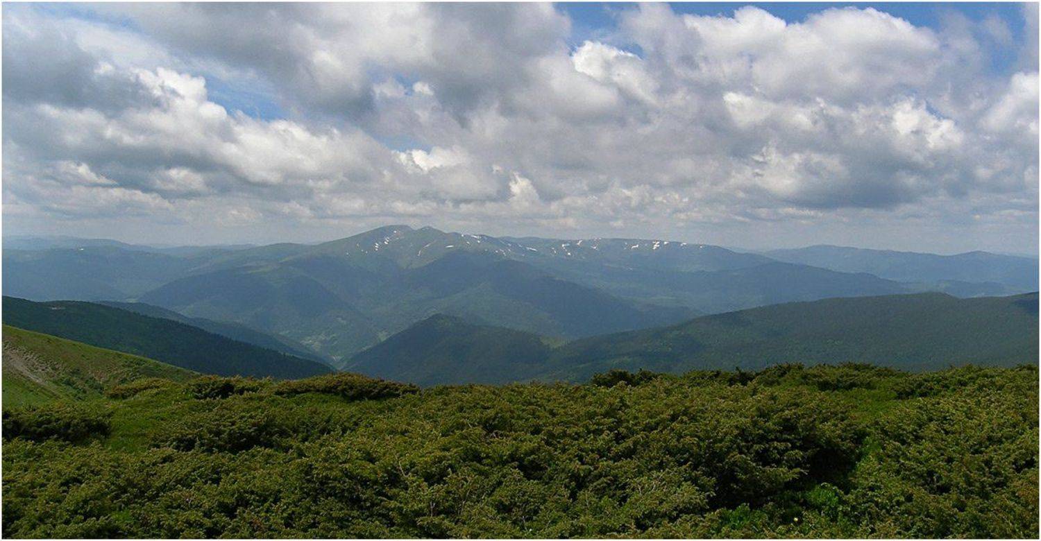 карпаты, Игорь Шевченко