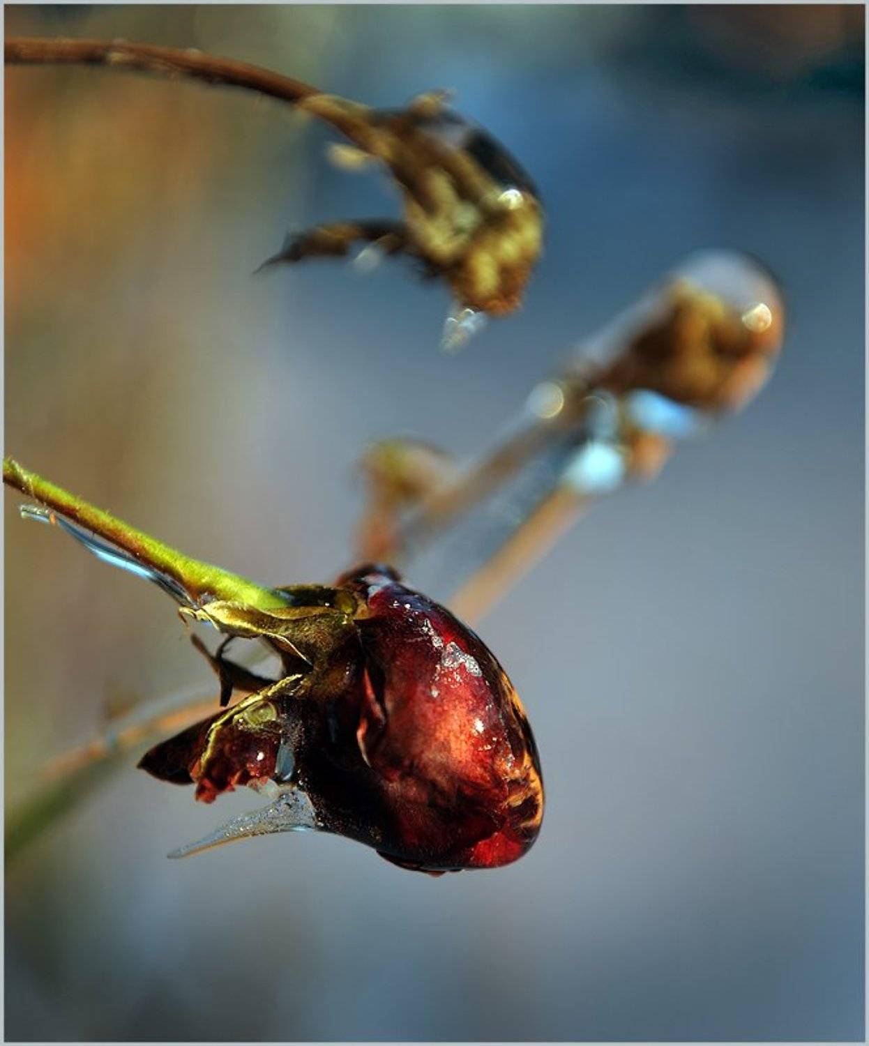 , Борис Пирог