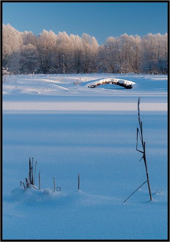 , Лунный Ежик