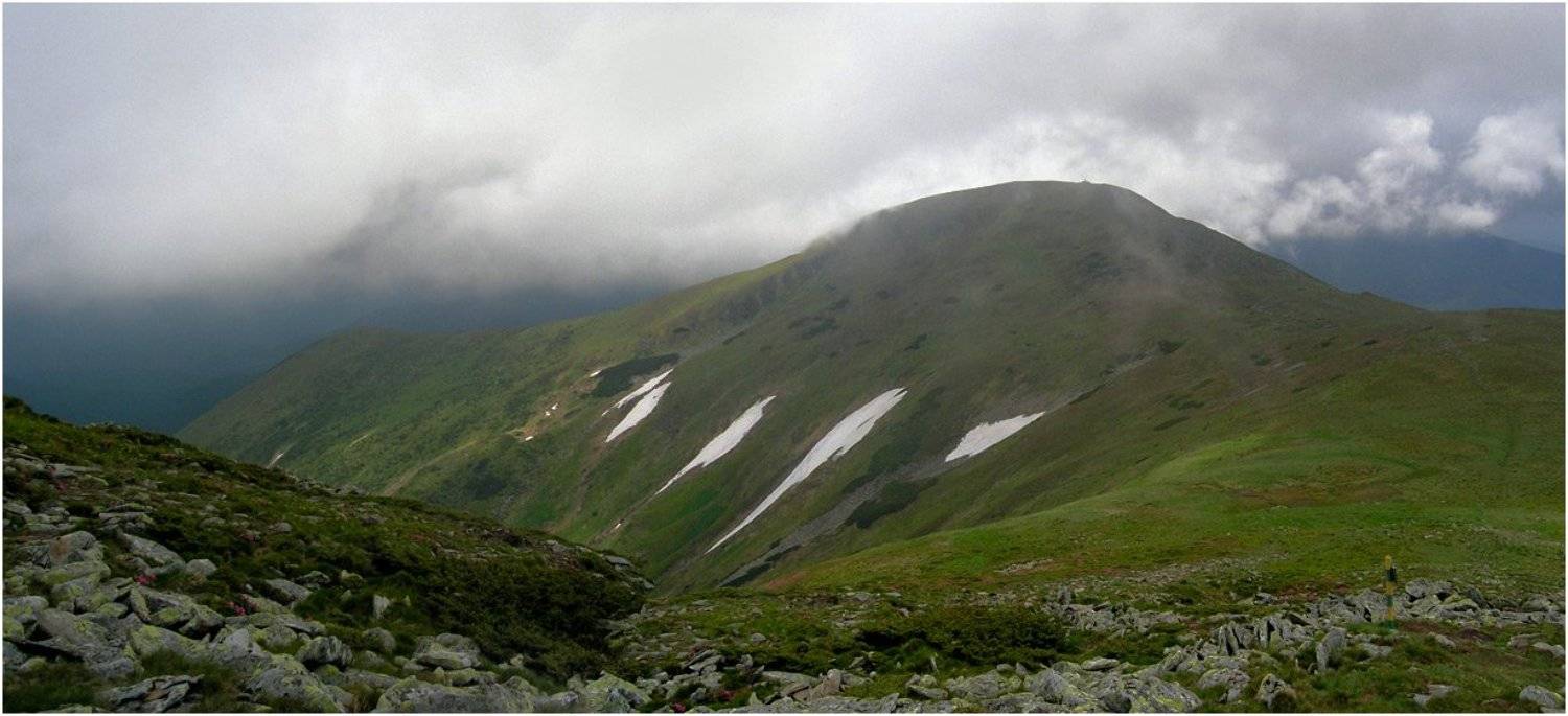 карпаты, Игорь Шевченко