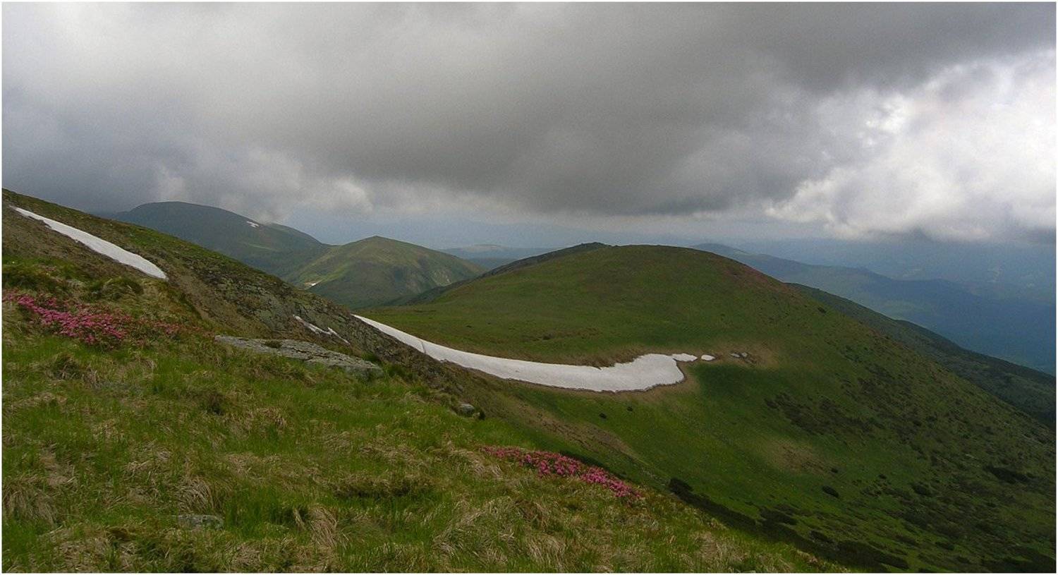 карпаты, Игорь Шевченко