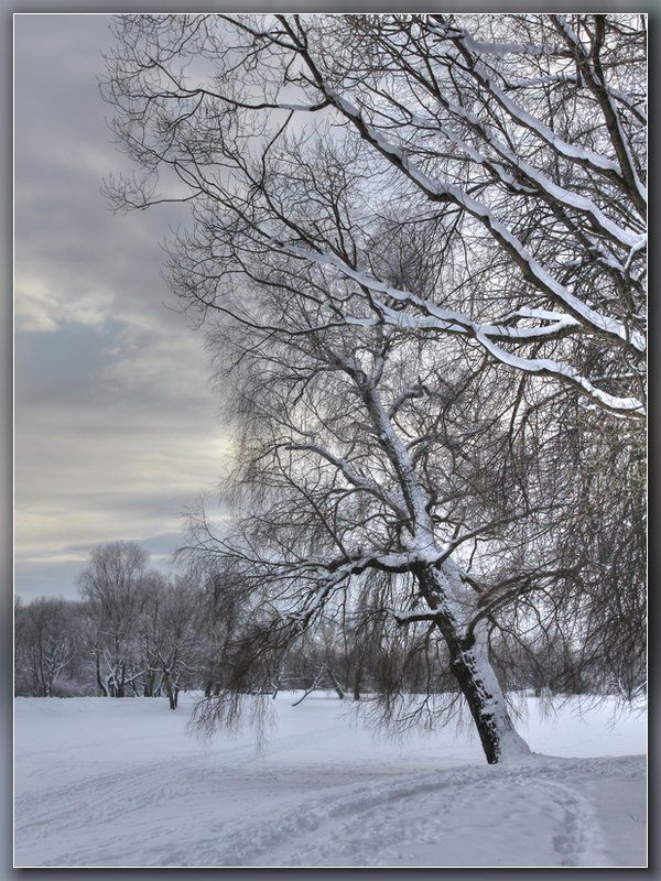 Зимний вечер фото превью