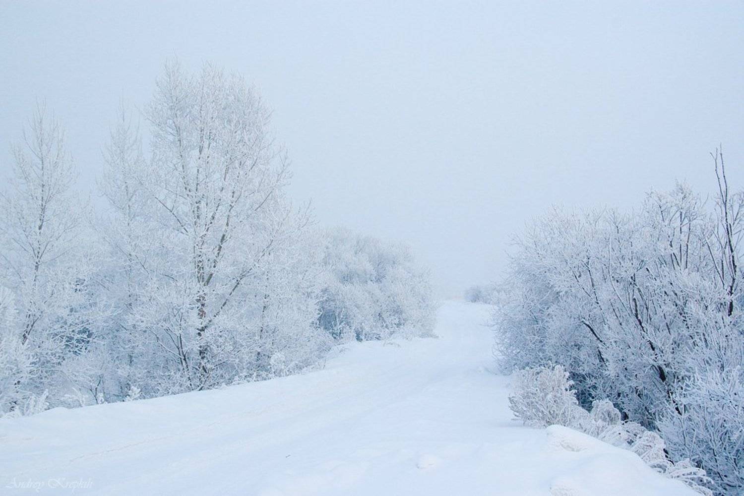 снег, енисей, сибирь, красноярск, Андрей Крепких (Sound Wave)