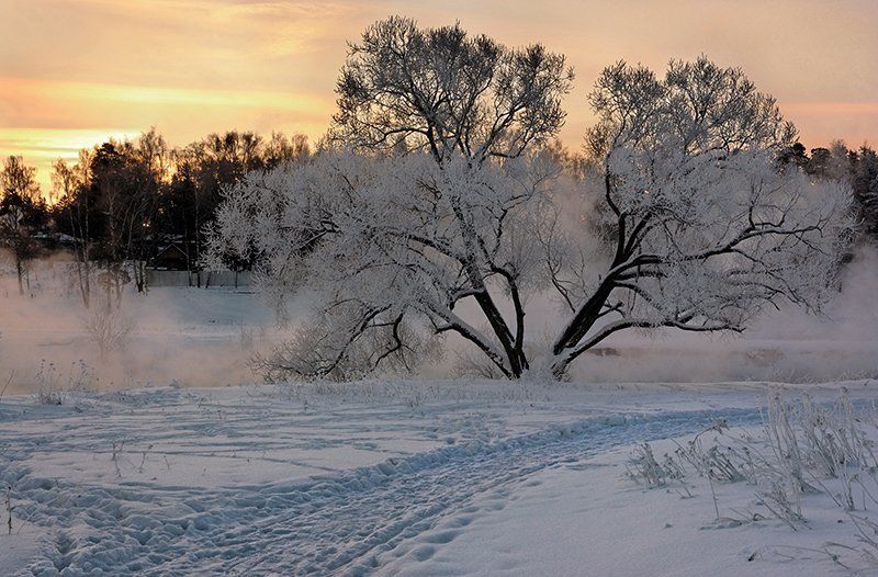 *** фото превью