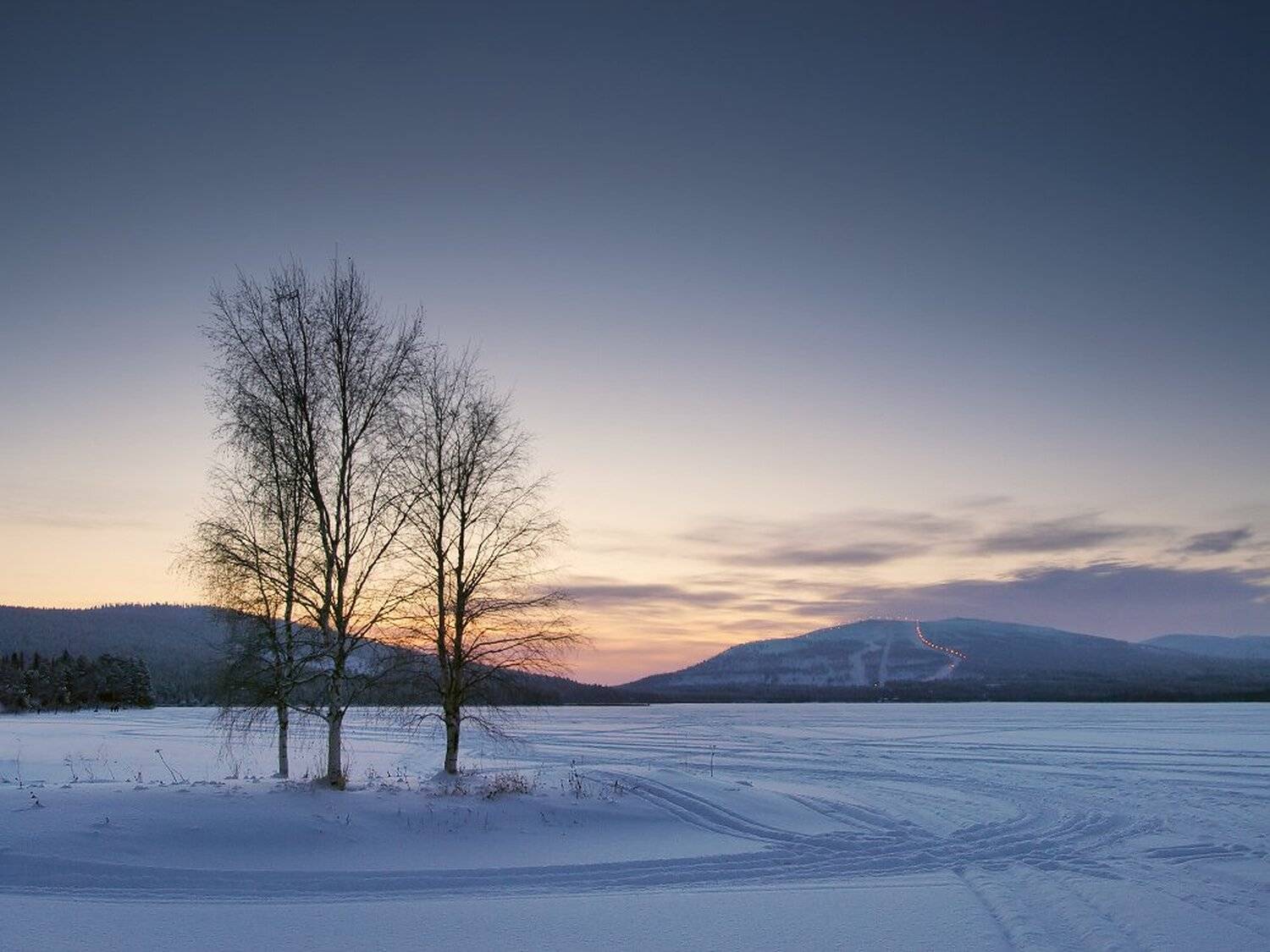 , Максим Евдокимов