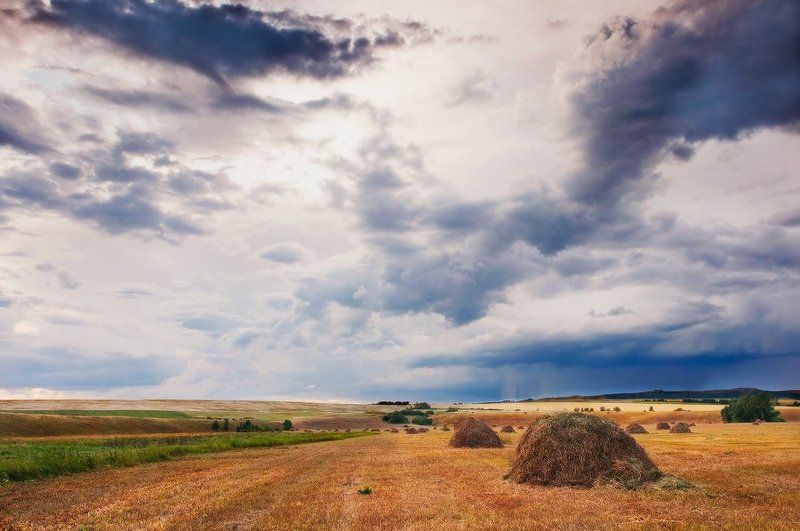 стога, сенокос, тучи, облага, гроза, непогода, лето, июль 72 фото превью