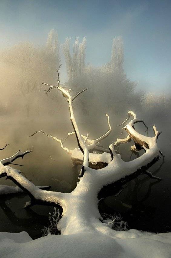 зима, парк, река, кубань, мороз, фёдор