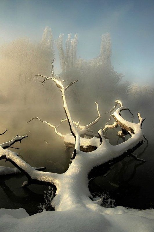 морозным утром фото превью