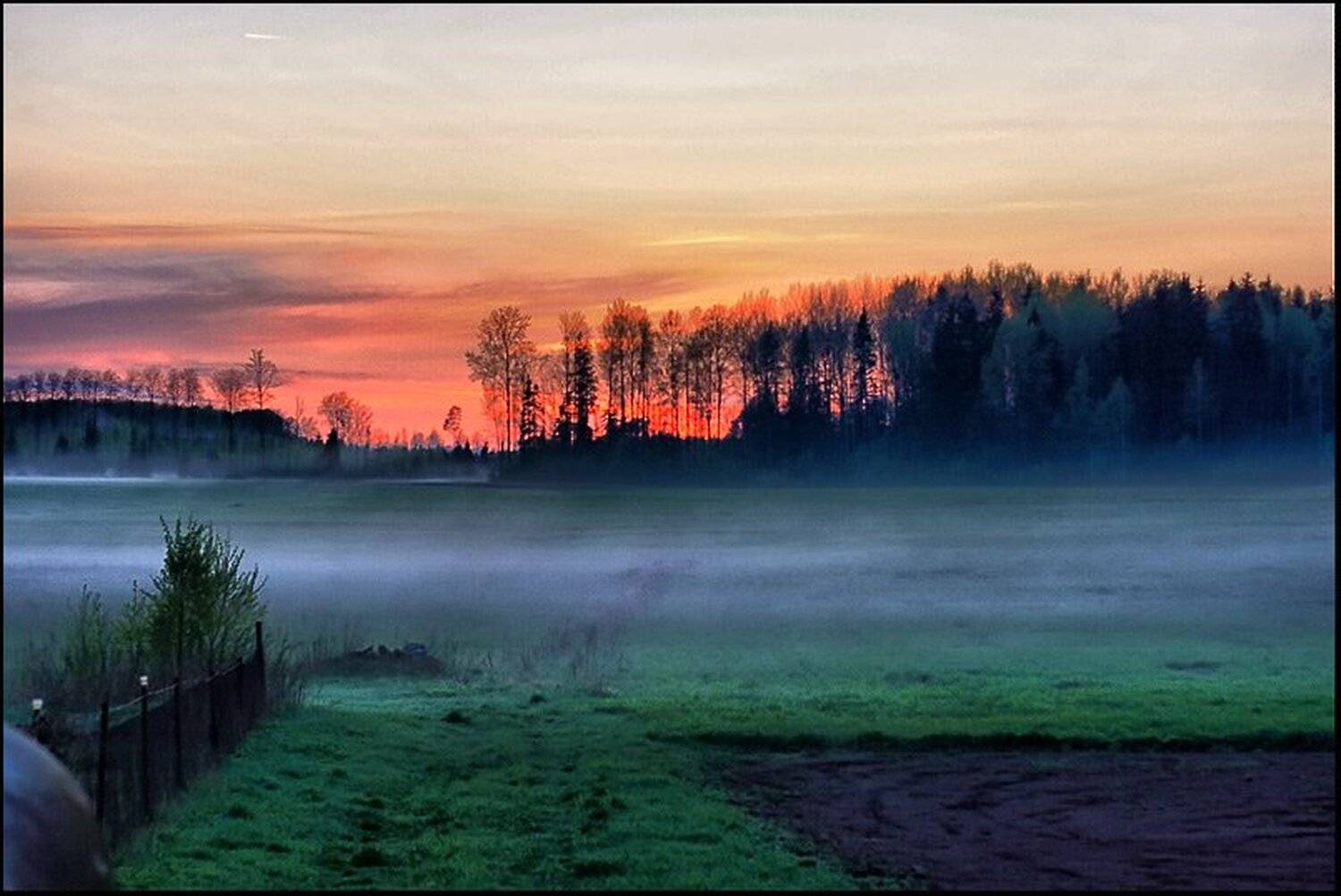 туман, kartinka