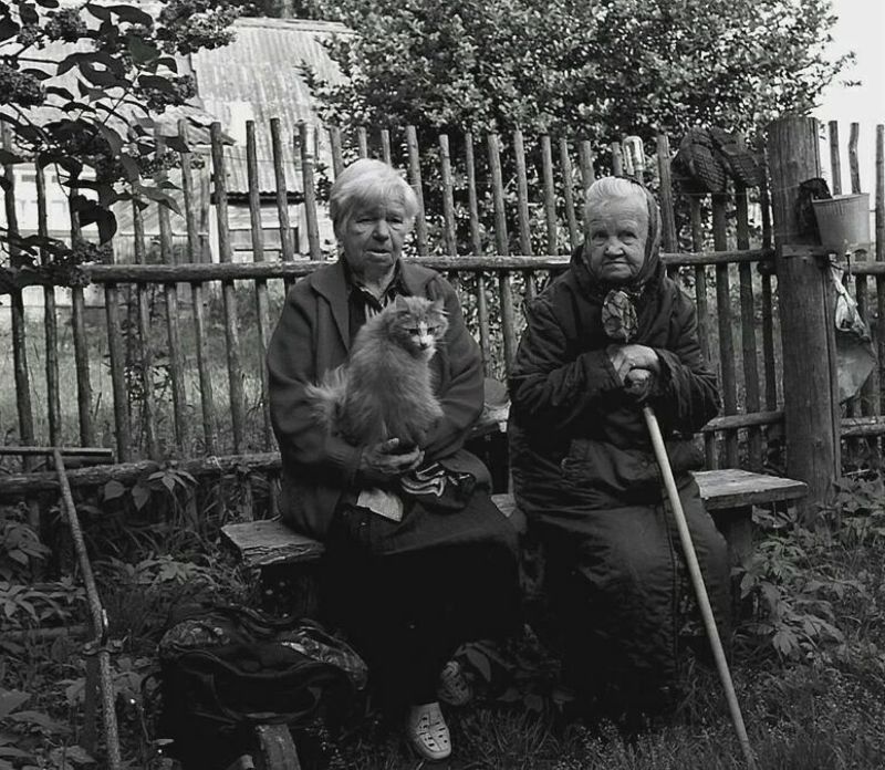 люди, лица, сестры, деревня На троих  - 180 (коту - 5 ) фото превью