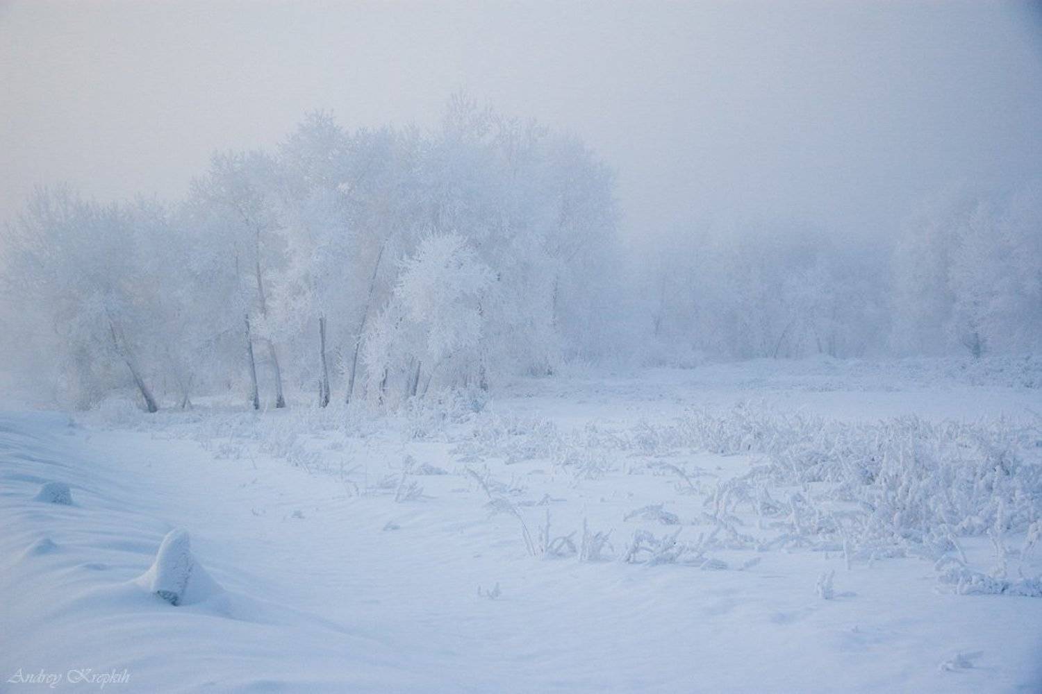 снег, енисей, сибирь, красноярск, Андрей Крепких (Sound Wave)