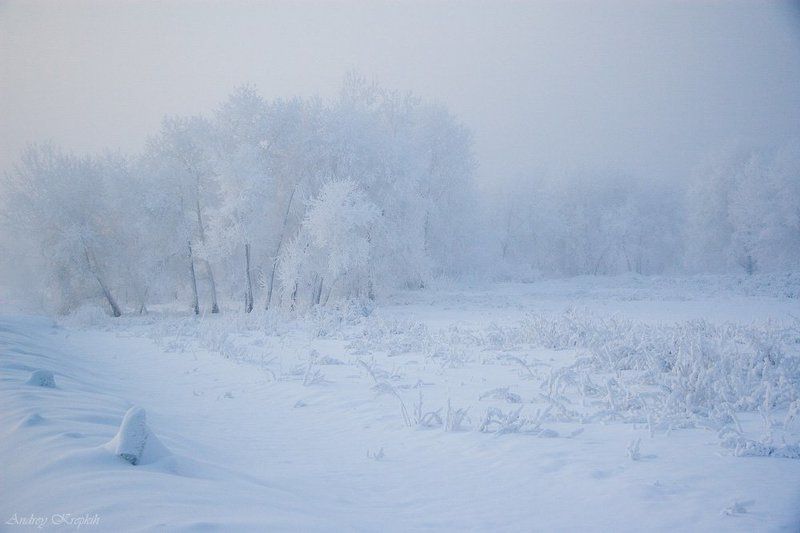 снег, енисей, сибирь, красноярск *** фото превью