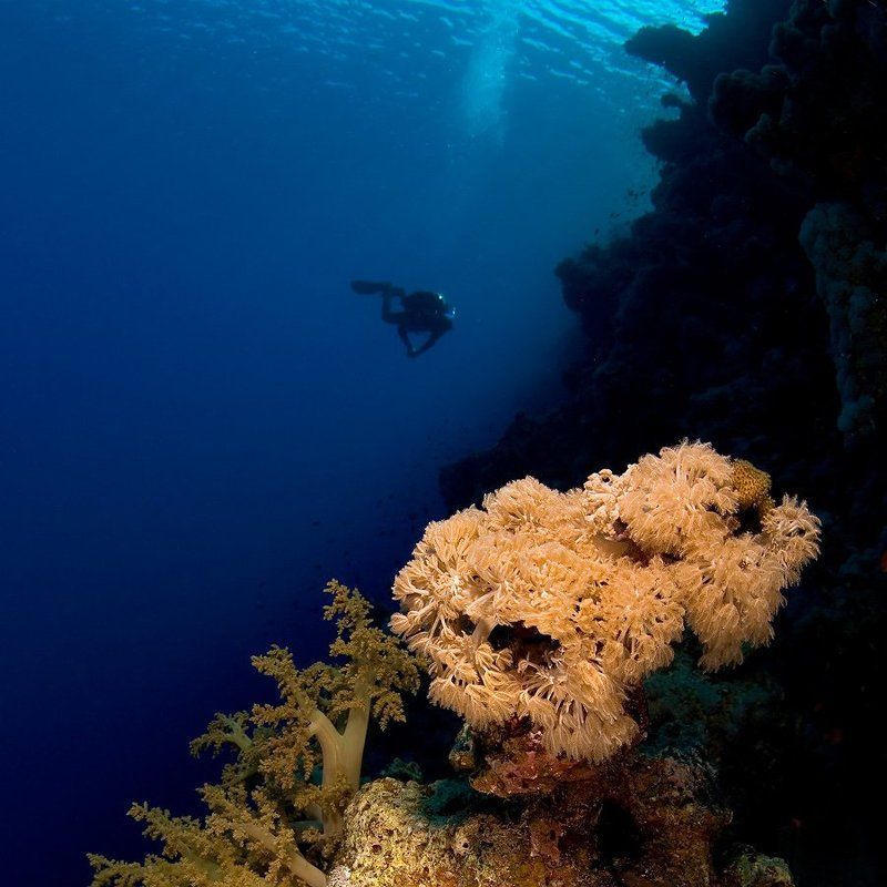 Dahab\'2009 фото превью