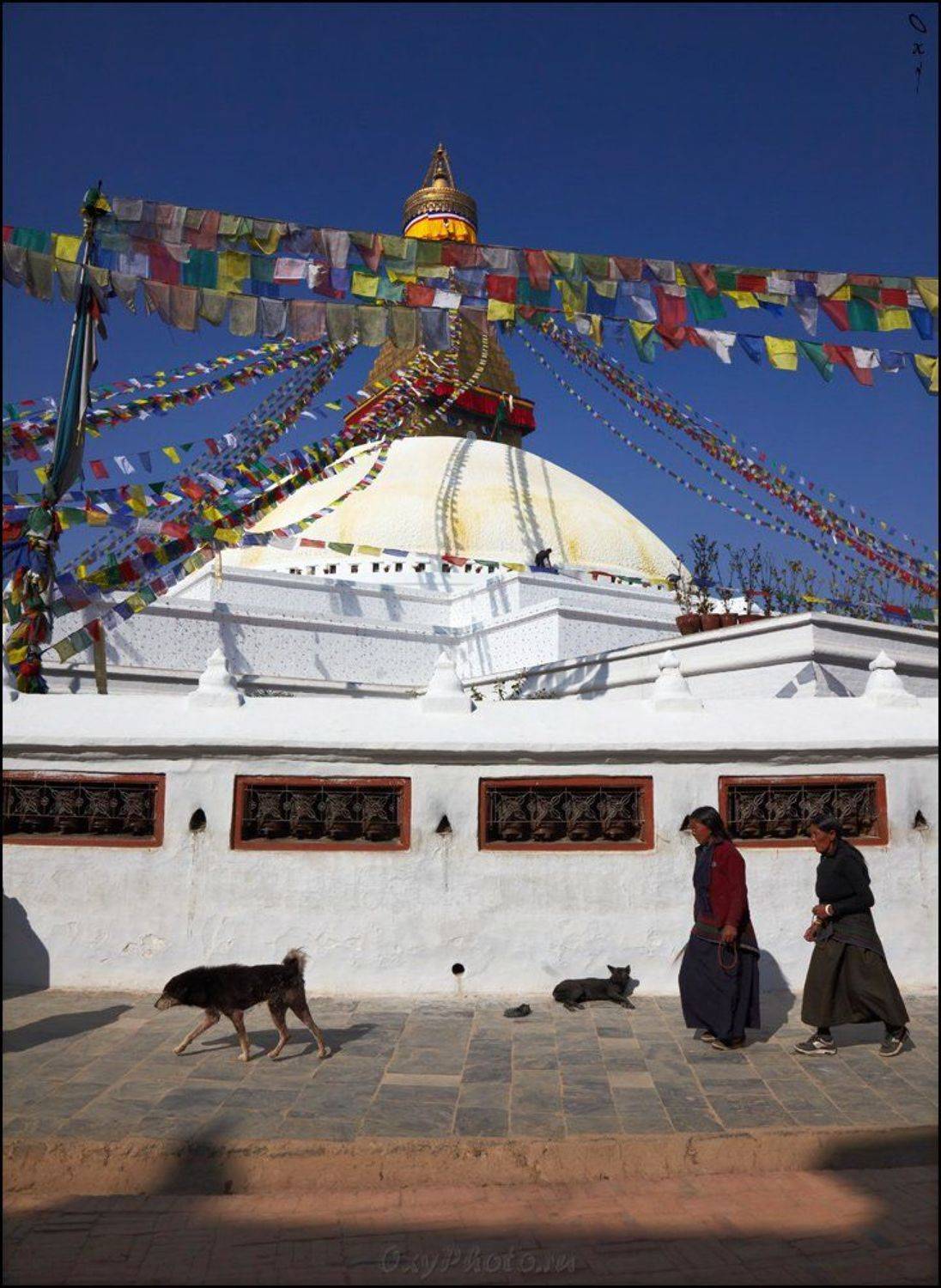 непал, гималаи, nepal, himalaya, катманду, kathmandu, Оксана Борц