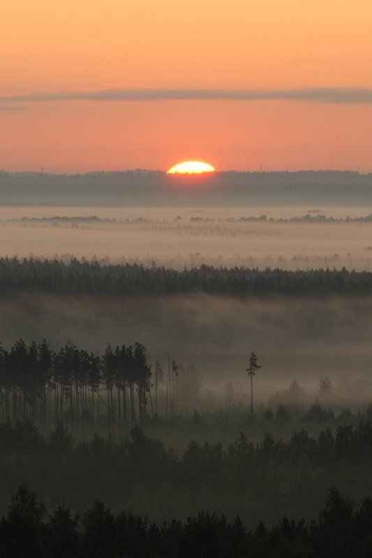 ... фото превью