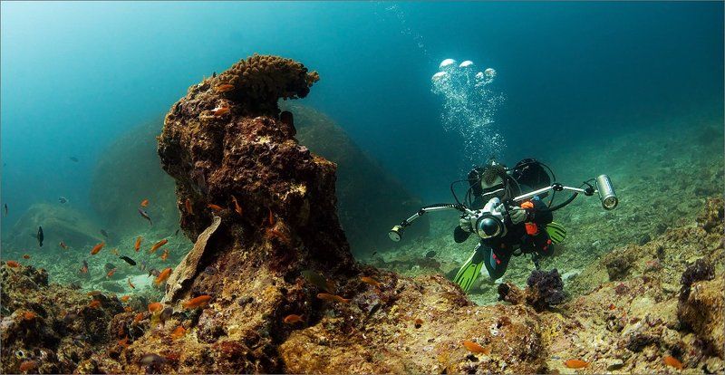 фотосессия Маэстро за работой фото превью