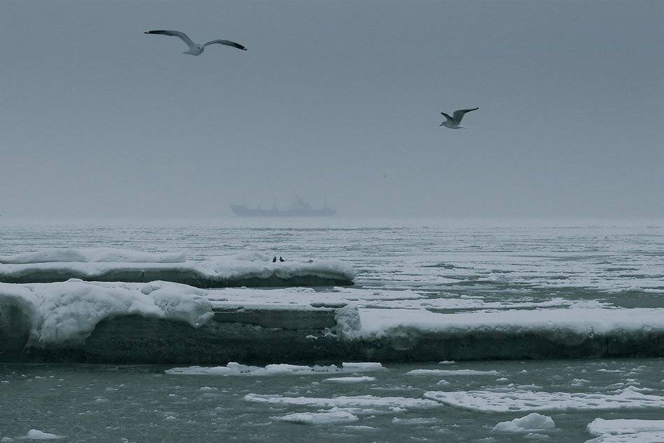 , Sergey Dimchenko