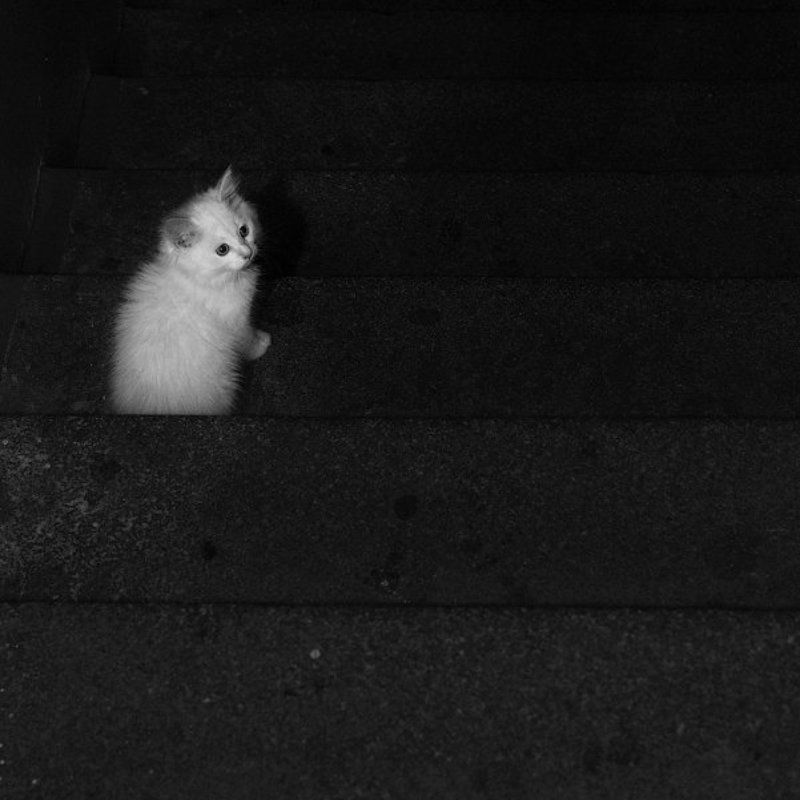 Чёрный квадрат. фото превью