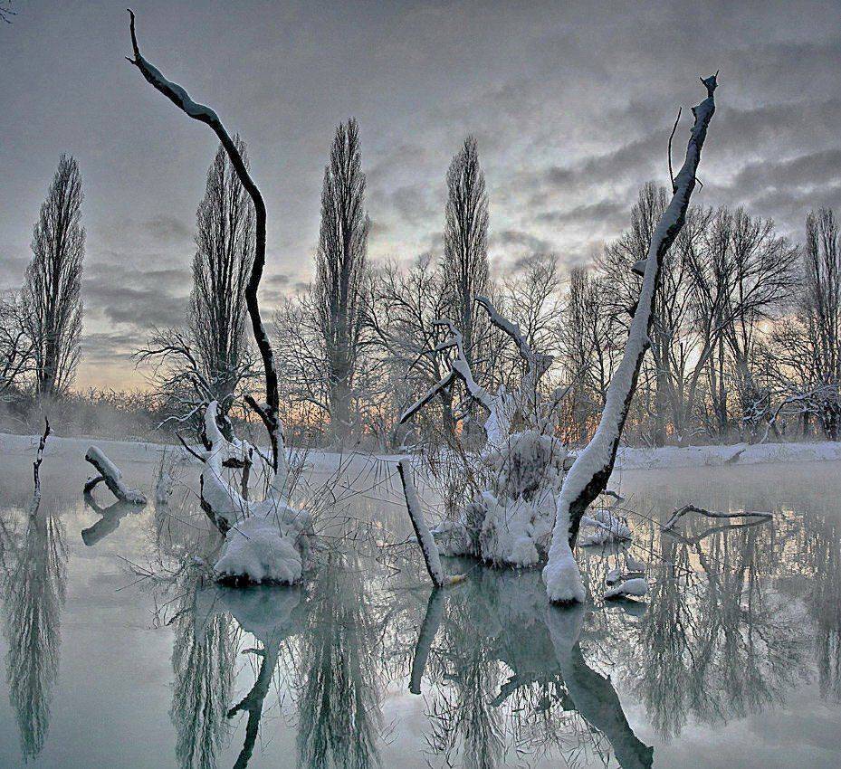 парк, зима, река, коряга, фёдор