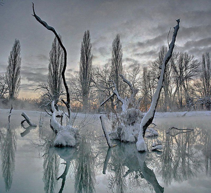 бунт осьминогов.... в королевстве кривых фото превью