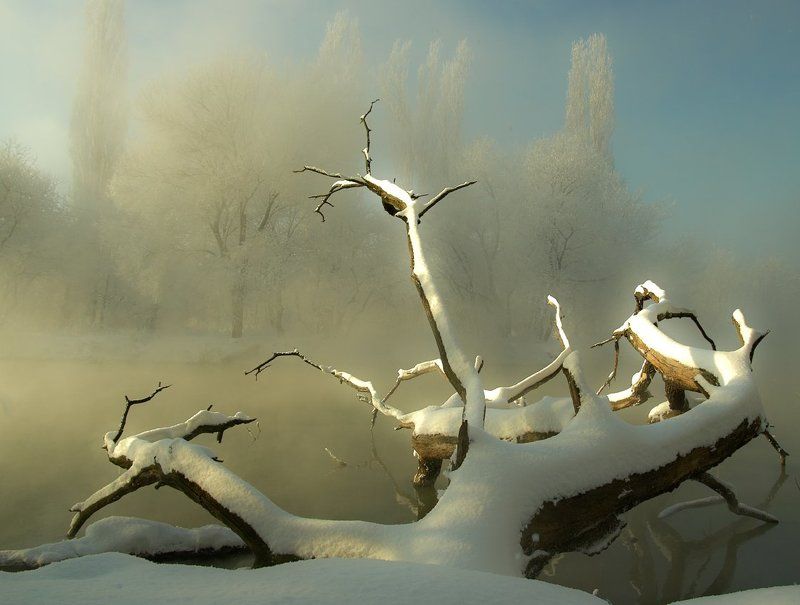 морозным утром # 2 фото превью