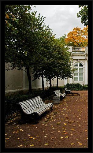 Простая питерская картинка