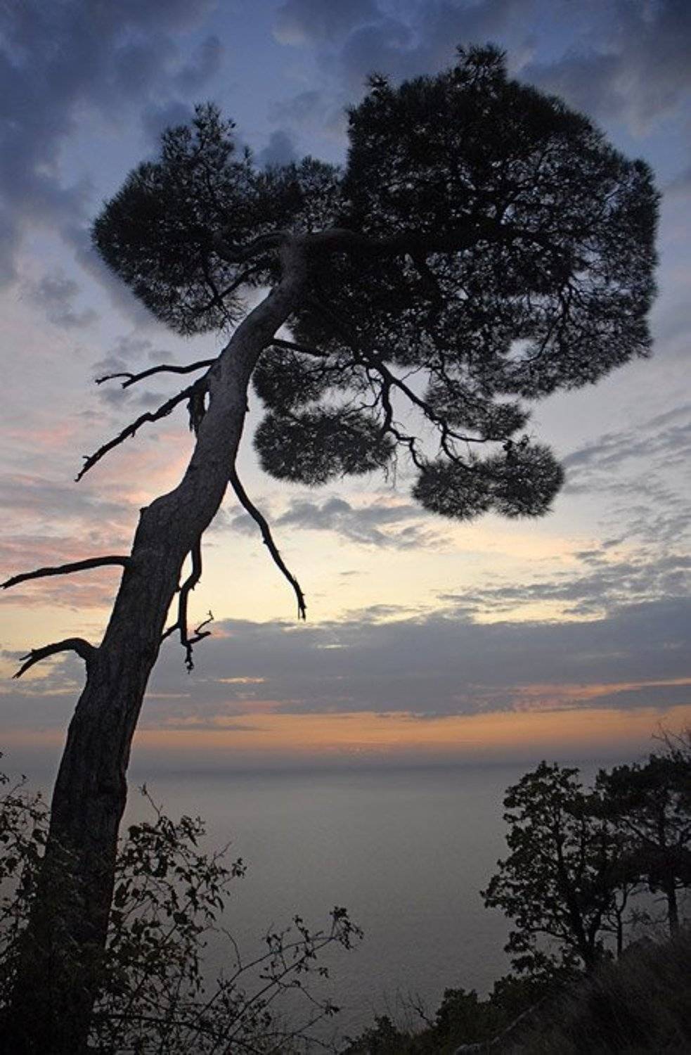 , Юрий Охлопков