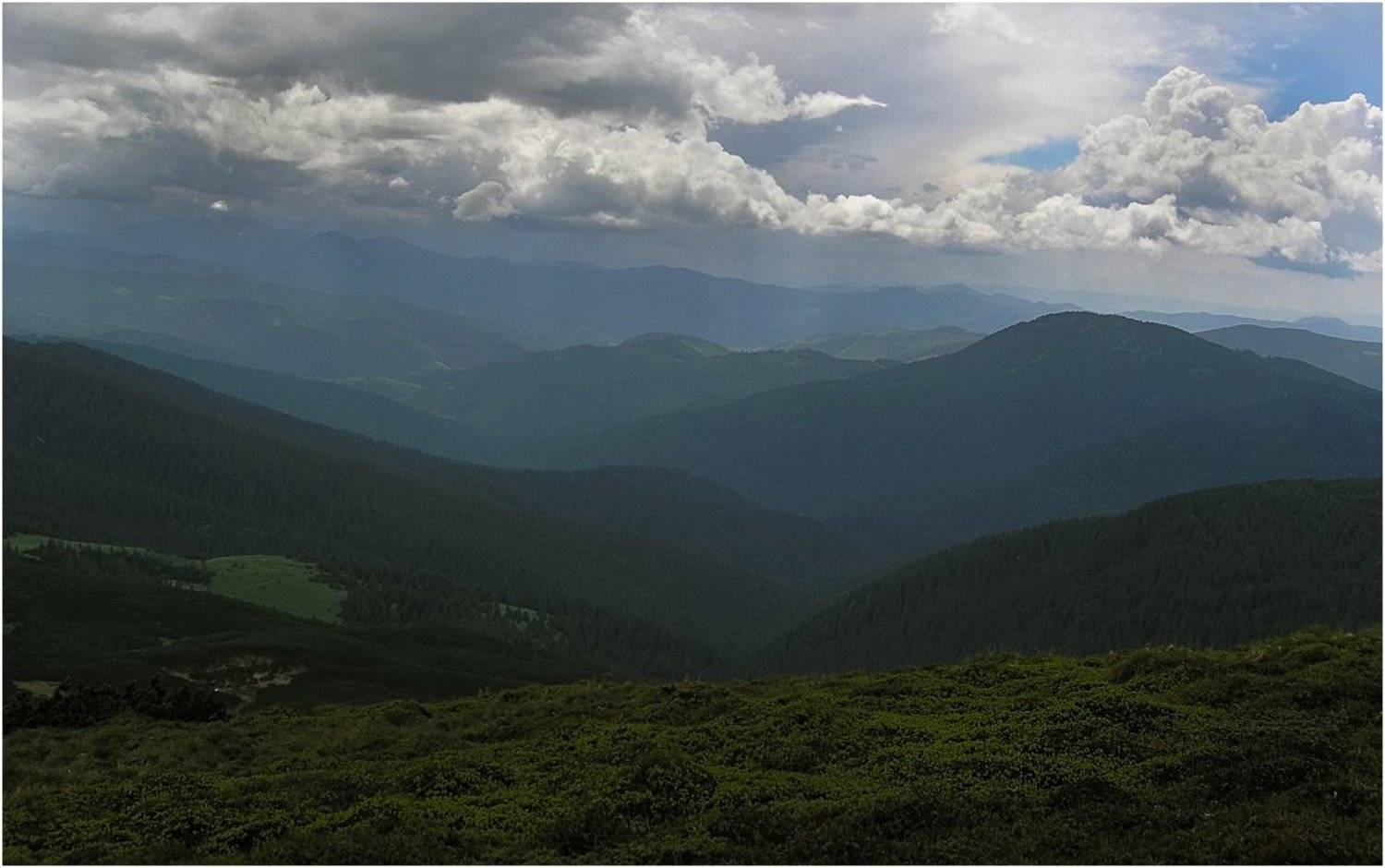 карпаты, Игорь Шевченко