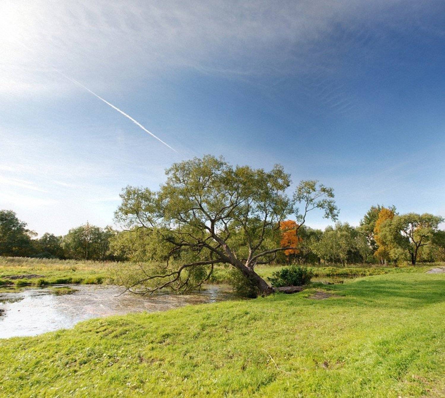 , Евгений Поздняков