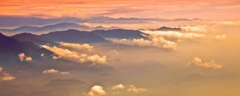 персиковые гималаи фото превью