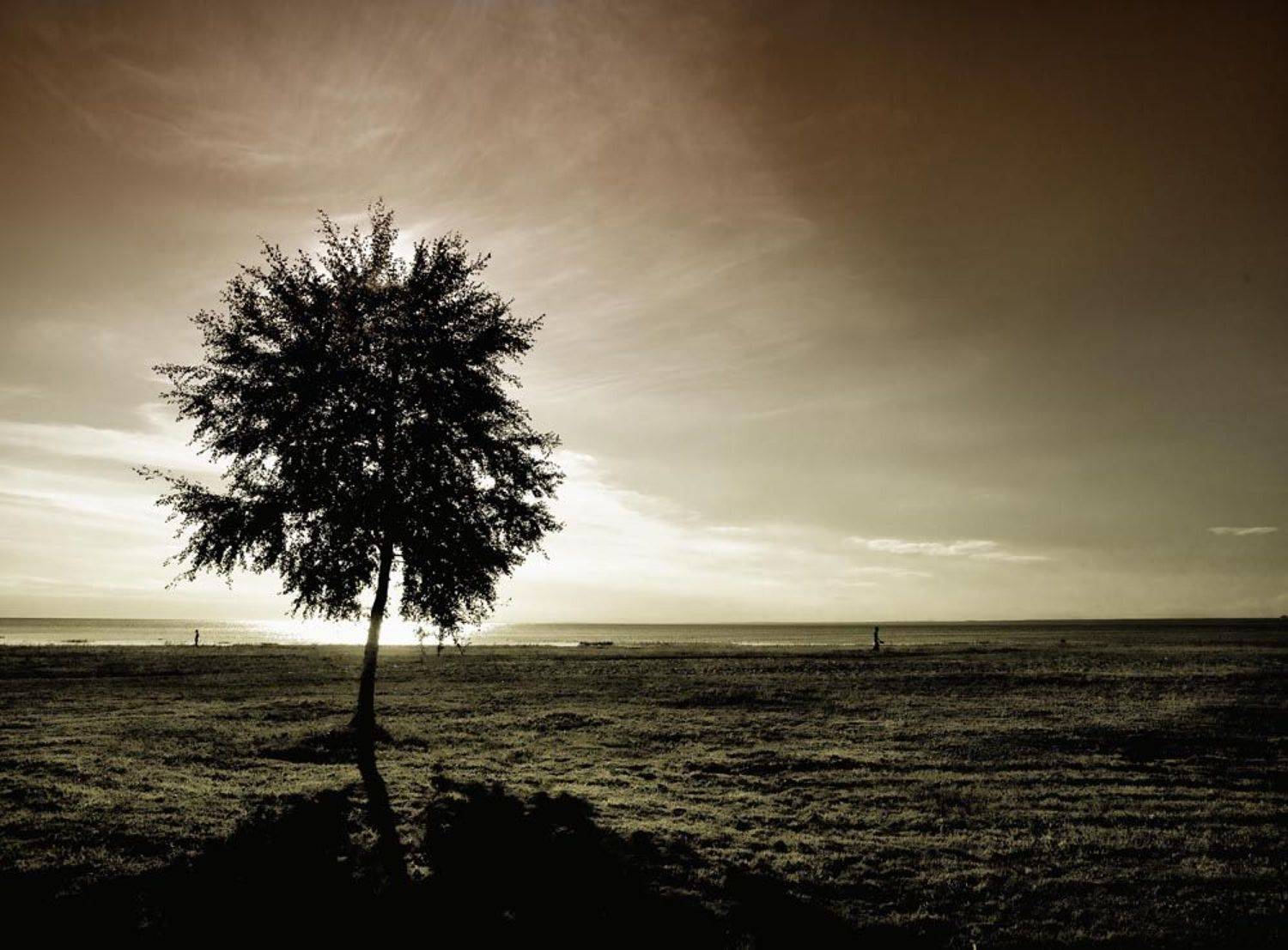 , Смирнов Павел