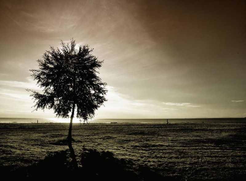 Сестрорецк фото превью