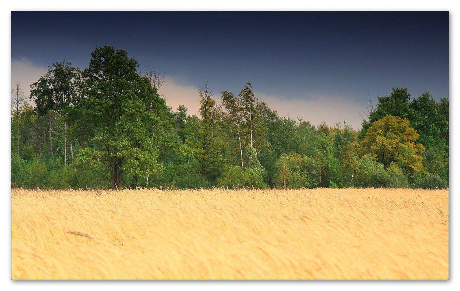 , Симонян Сергей