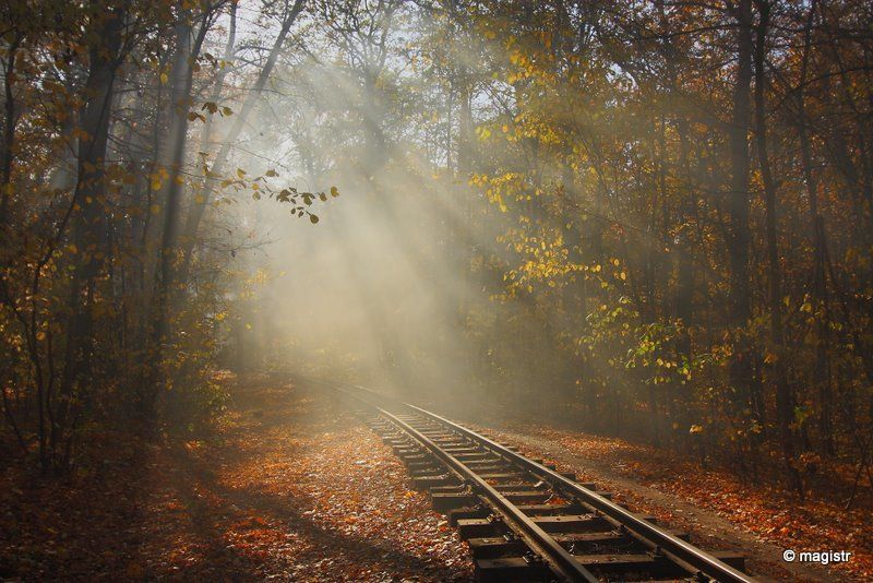 украина, харьков, лесопарк, осень, малая детская железная дорога, листья, туман, дым, свет Листья жгут... фото превью