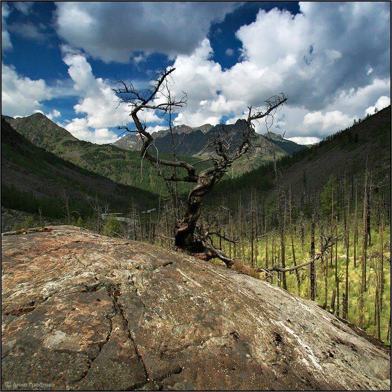 алтай, горы, горный алтай, мюшту-айры, аня графова, Аня Графова