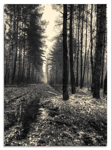 Первый снег