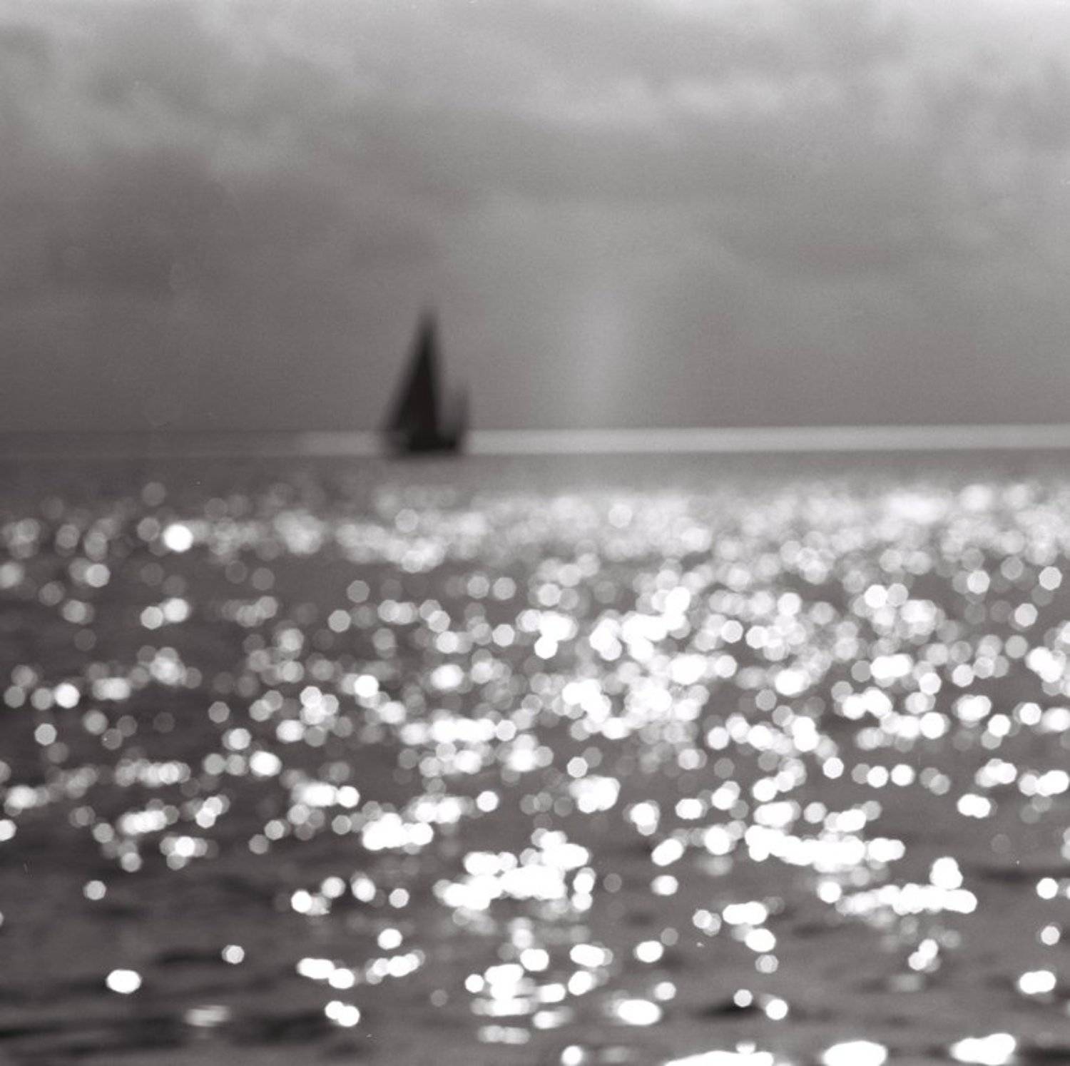 6х6, негатив, плёнка, b&w, Sergey Tarba