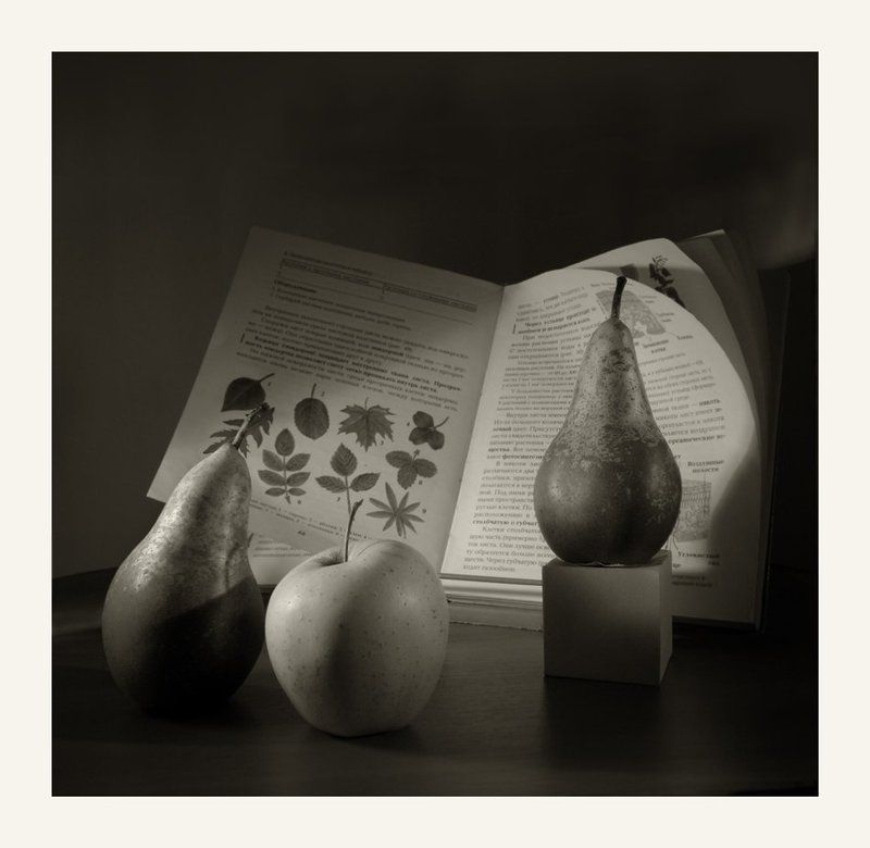 * * * фото превью