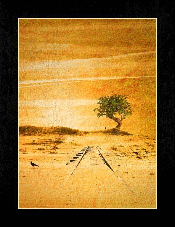 , Владимир Точаненко