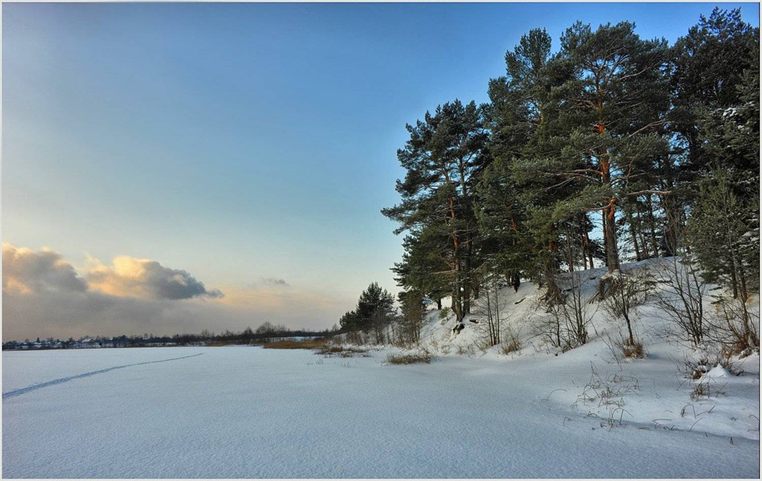 , Борис Пирог