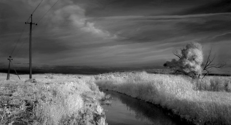 циркуны, инфракрасный, пейзаж, утро Циркуновские просторы. Инфракрасный утренний пейзаж фото превью