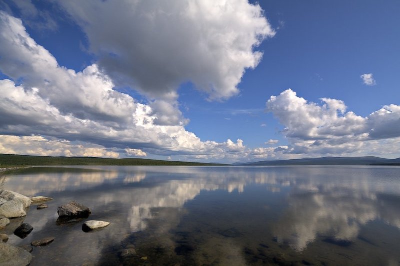 север,озеро,лето На Пинозере фото превью