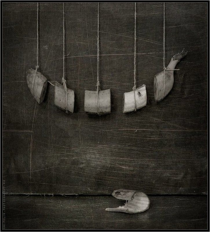 банан,бананы,питание,мухи,муха,владимир,шипулин,фотограф,томск Пятиразовое питание фото превью