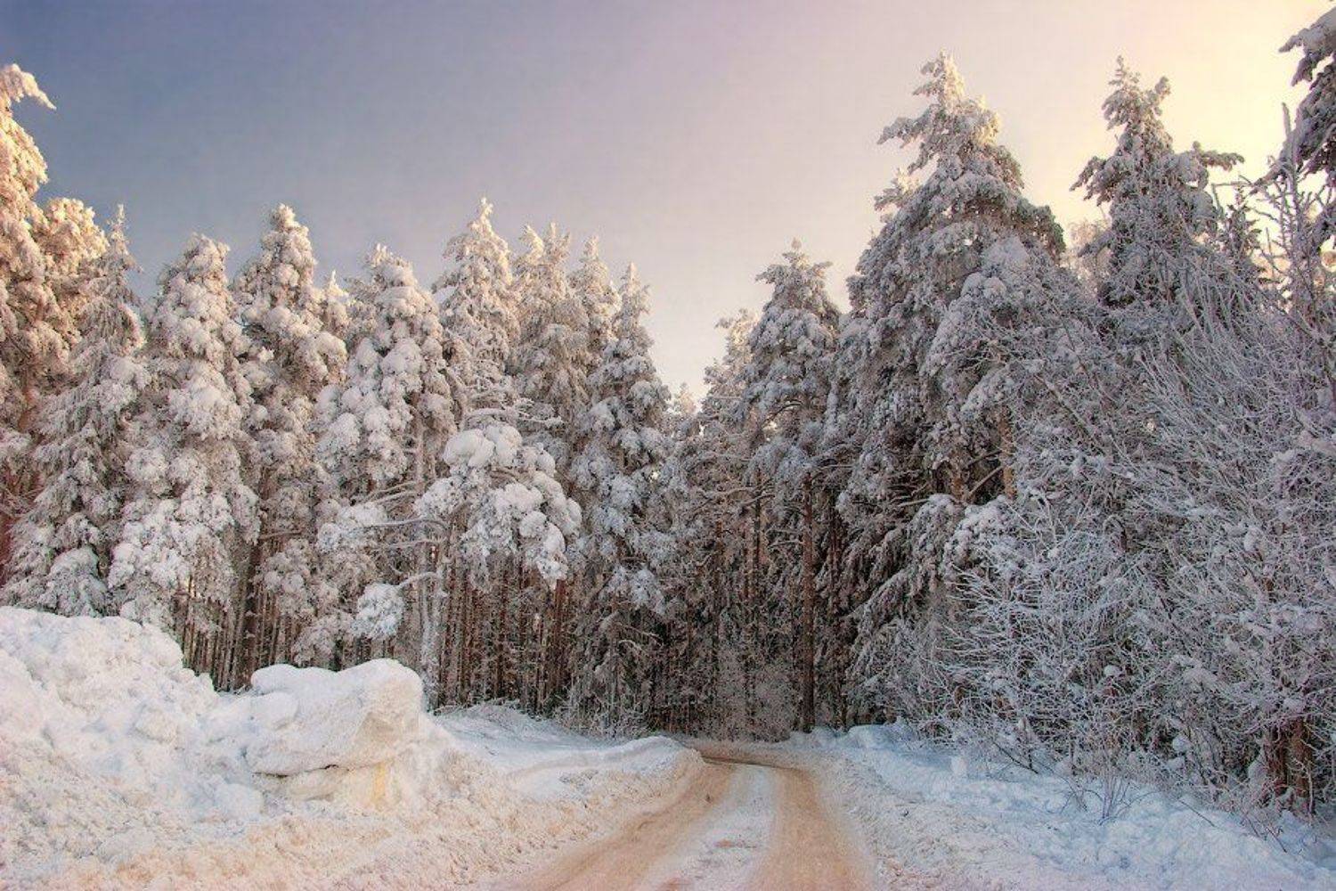 россия, всеволожск, лес, зима, мороз, закат, дорога, дерево, снег, сугроб, ель, сосна, дерево, небо, dyadyavasya, Дмитрий Шамин