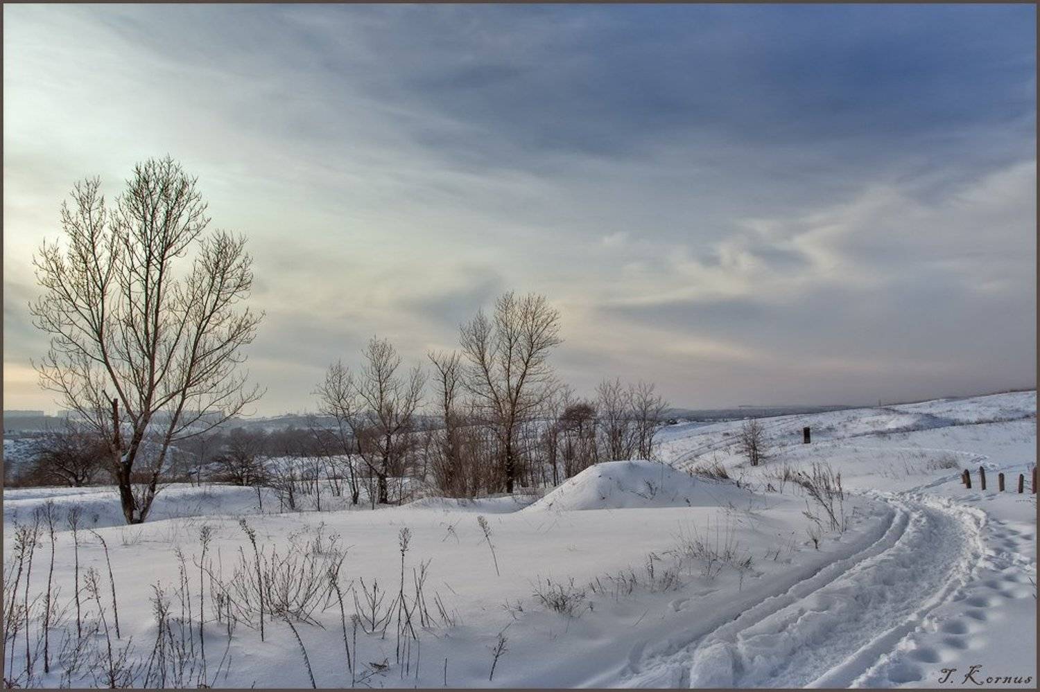 зима,днепр,о.хортица,вечер,дорога, Татьяна Корнус
