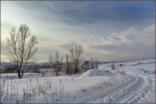Скромное обаяние нашей зимы