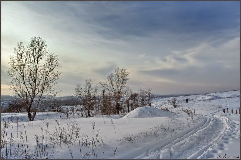 зима,днепр,о.хортица,вечер,дорога Скромное обаяние нашей зимы фото превью