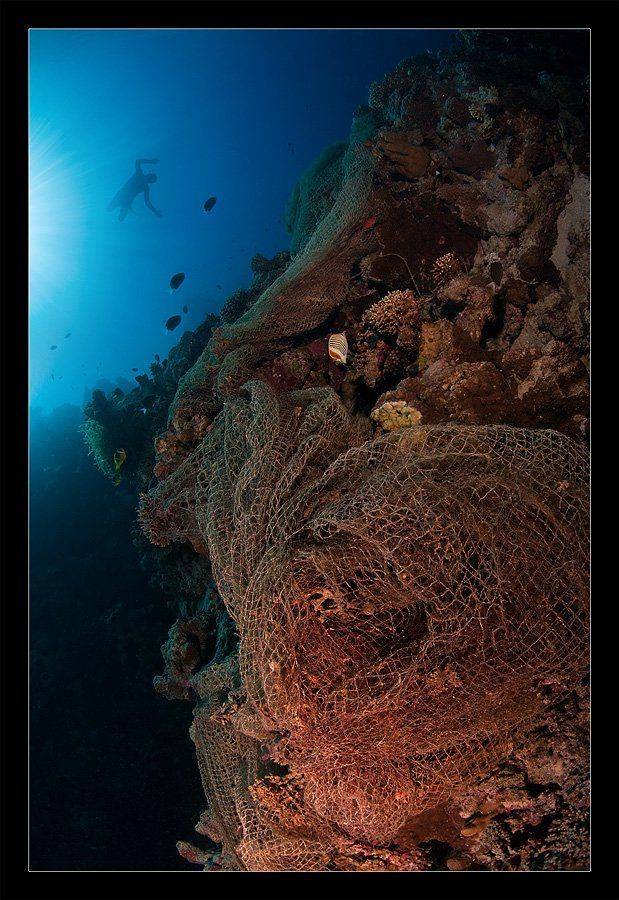 фридайвер, дахаб, сеть, Нарчук Андрей