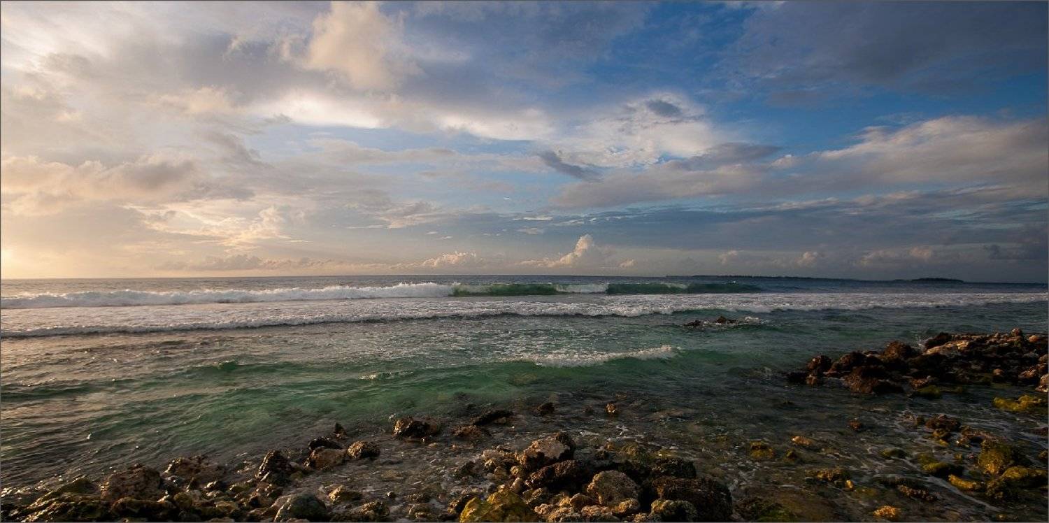 день_рождения_зари, Нетушки